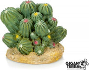 Giganterra Cactus 12x10