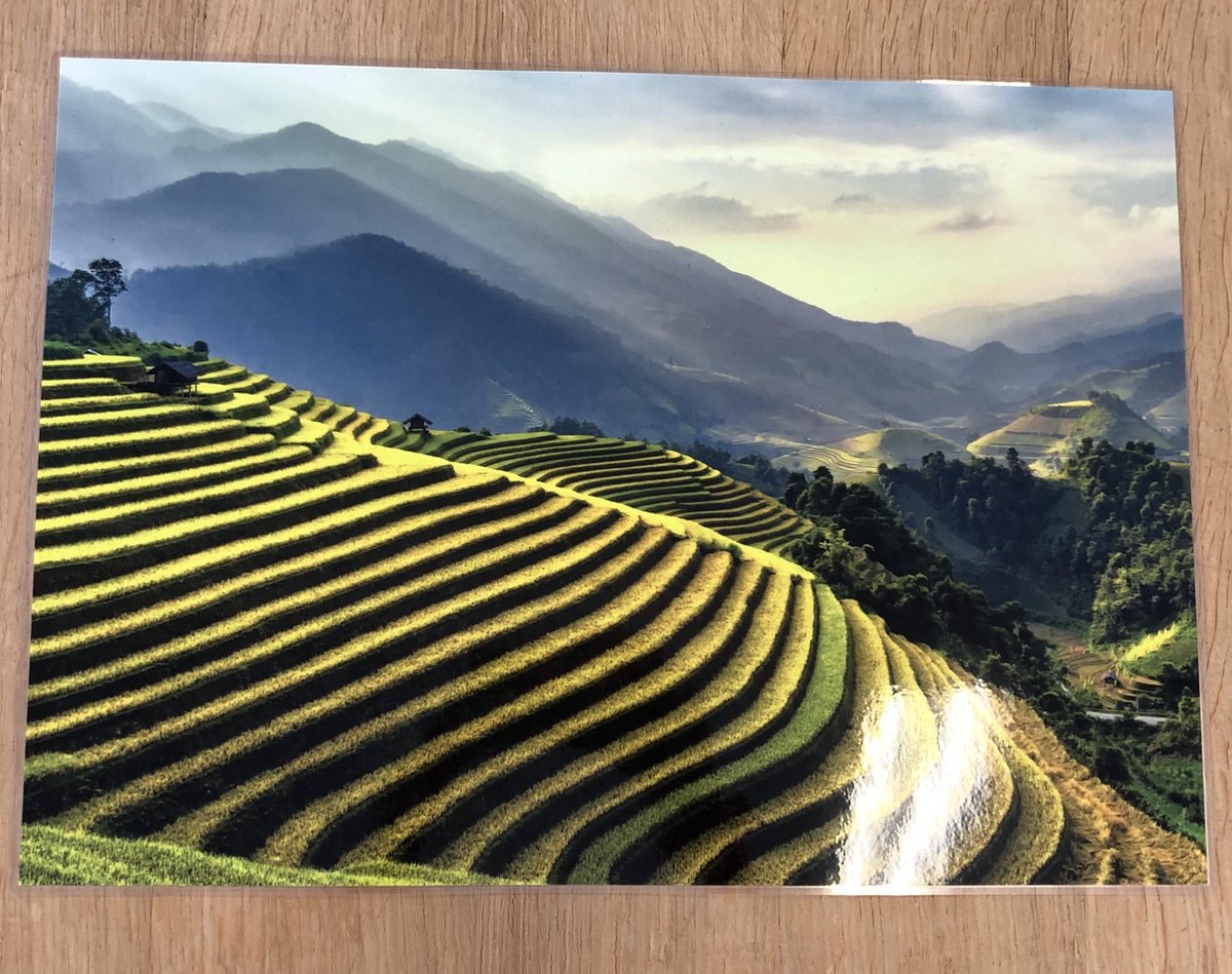 Cadeautip ! Placemats natuur afbeeldingen set van 4 stuks