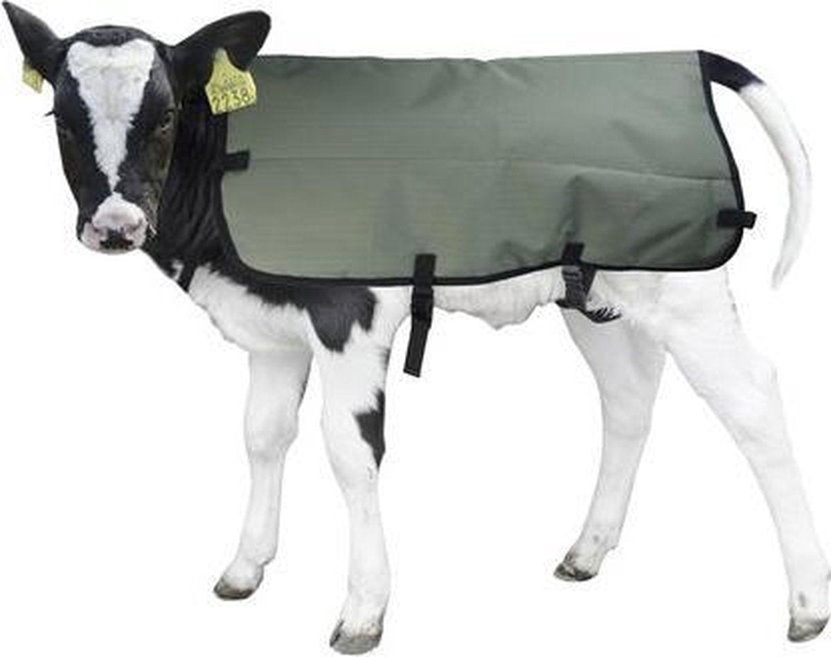 Kalverdekje Calf Coat 70 cm