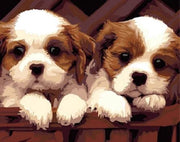 Paint By Numbers - Schilderen op Nummer - 2 Hondjes - 50x40cm - Volwassenen & Kinderen - Stipco