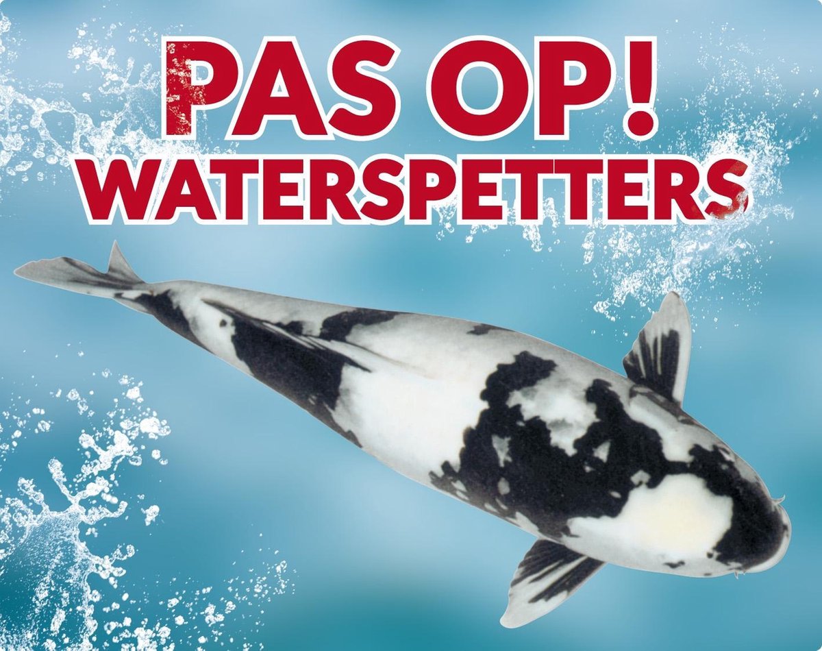 Pas op! Waterspetters 98 shiro utsuri waakbord met een gekleurde achtergrond