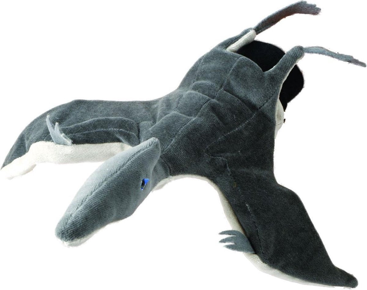 Pterodaktylus handschoen
