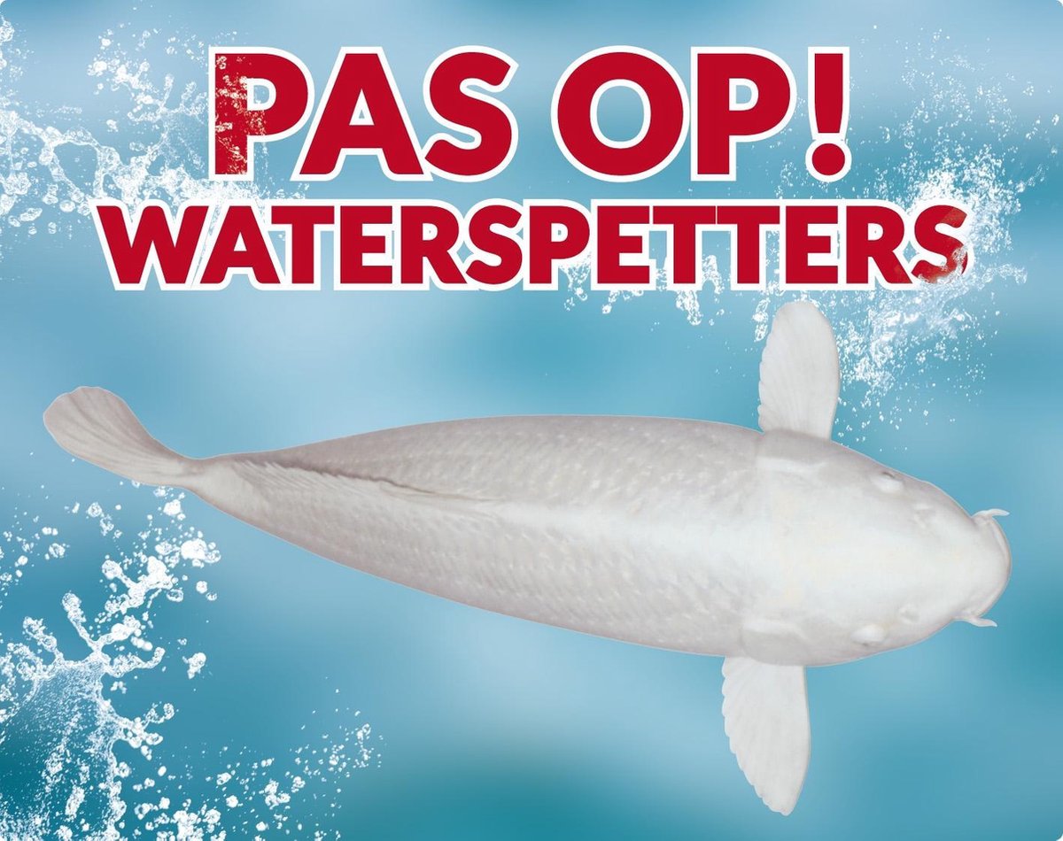 Pas op! Waterspetters 96 platina waakbord met een gekleurde achtergrond