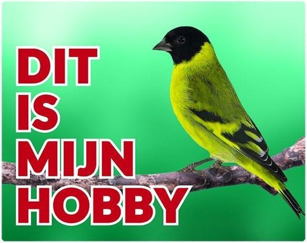 Zwartkopsijs Waakbord - Dit is mijn Hobby Man