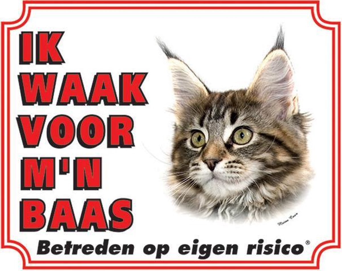 Ik waak voor mijn baas 202 Main coon waakbord met een witte achtergrond