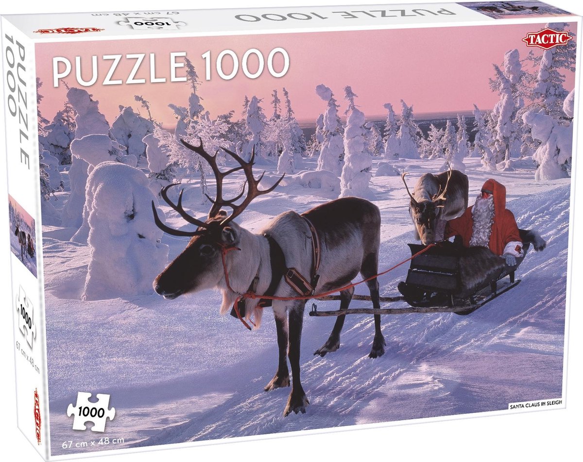 Santa Claus in Sleigh - 1000 stukjes
