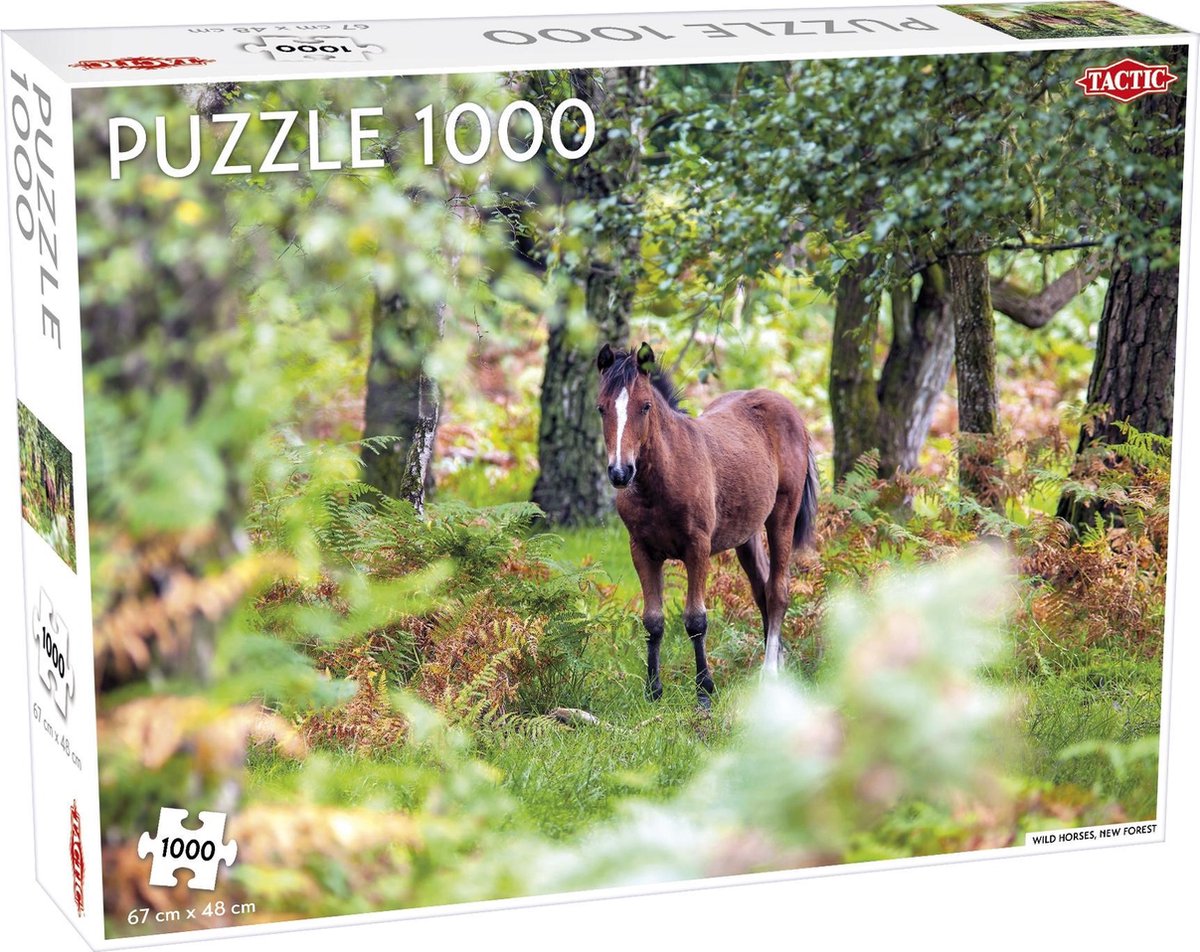 Wild Horses New Forest - 1000 stukjes