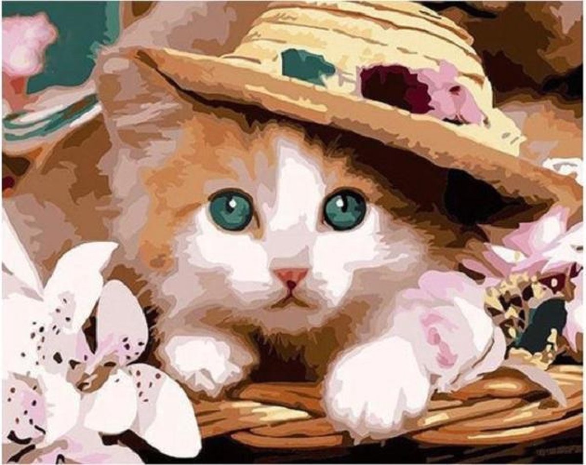 Paint By Numbers - Schilderen op Nummer - Schattige Kitten met Hoed Op - 50x40cm - Volwassenen & Kinderen - Stipco