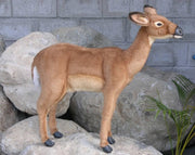 Ree Knuffel