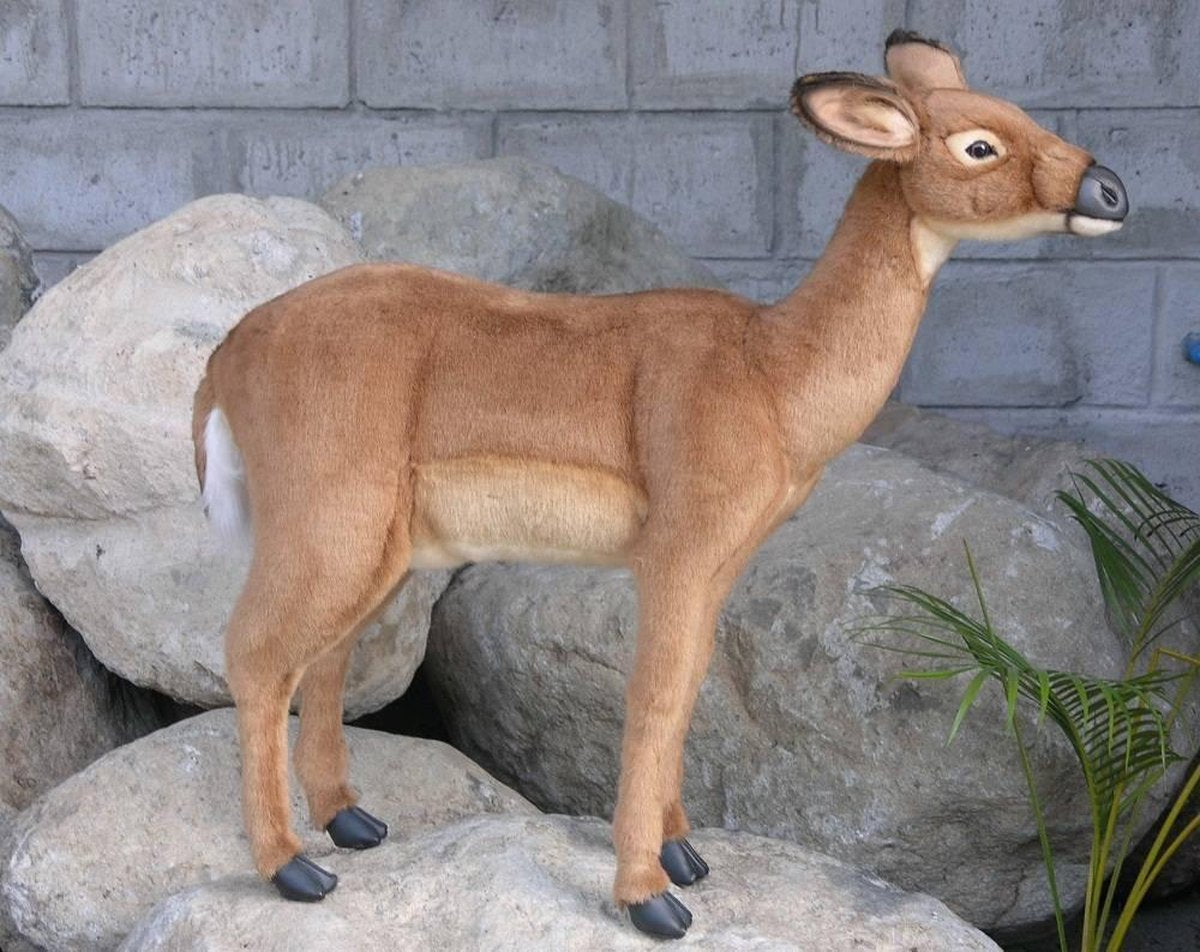 Ree Knuffel
