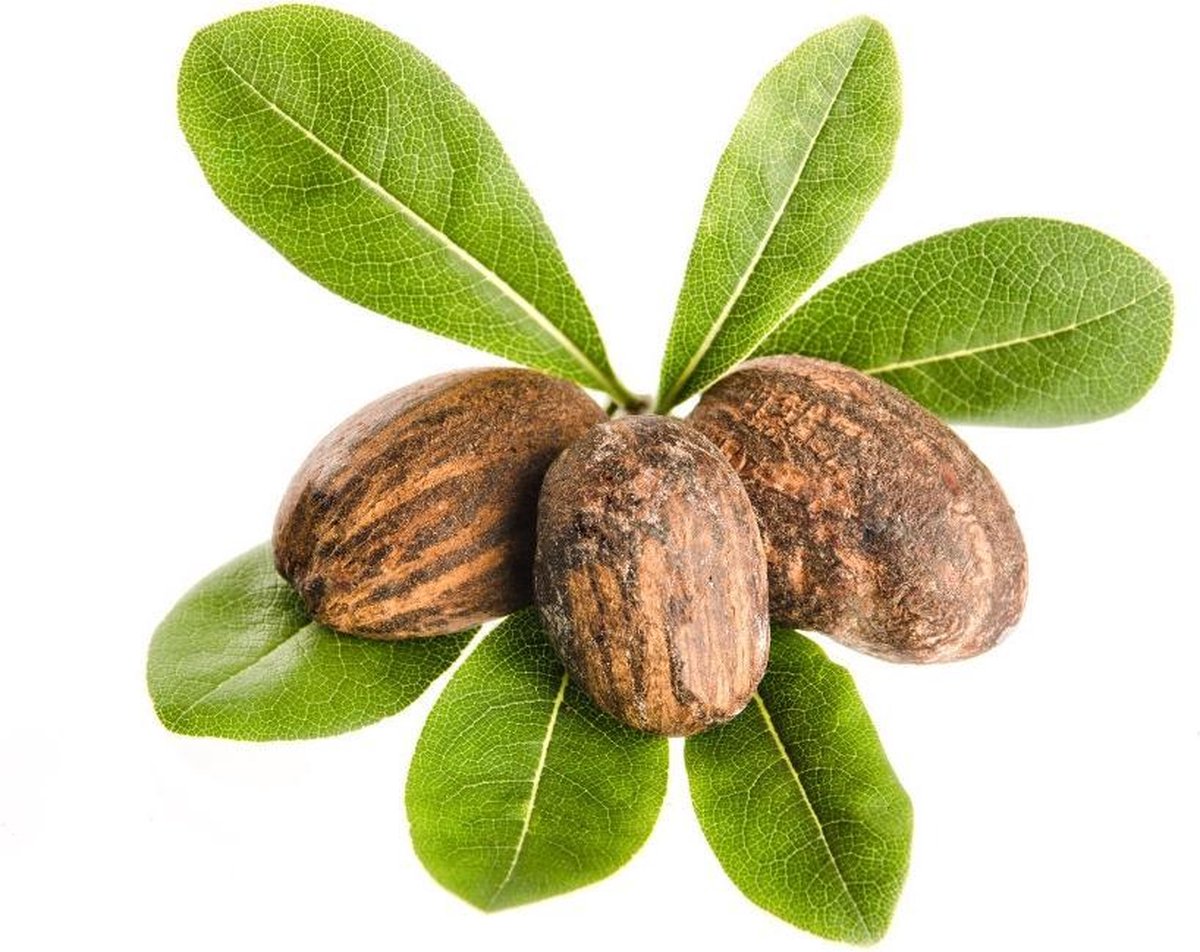 Shea boter 1 kg