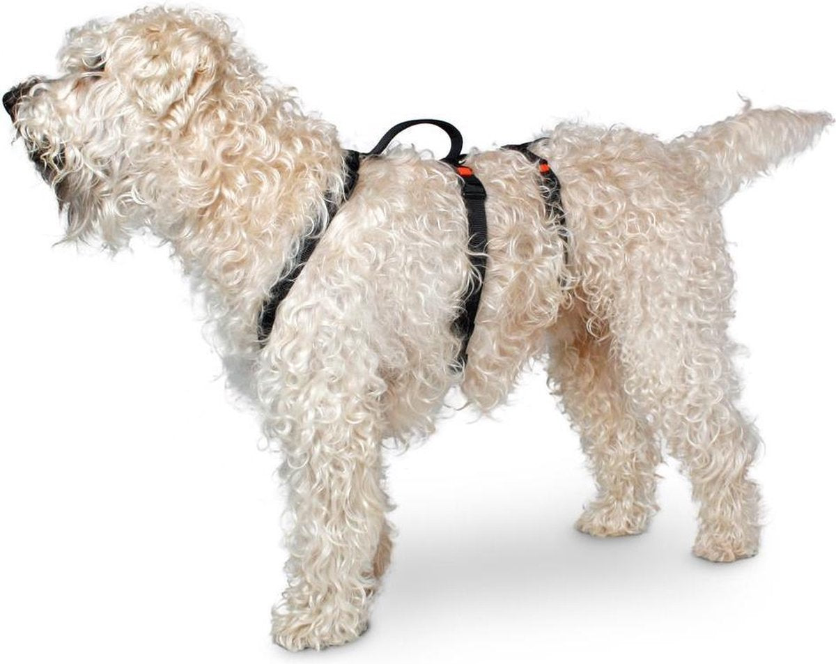 Safety harness black