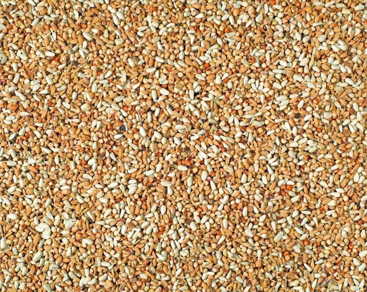 Natural dieet special p30 20KG