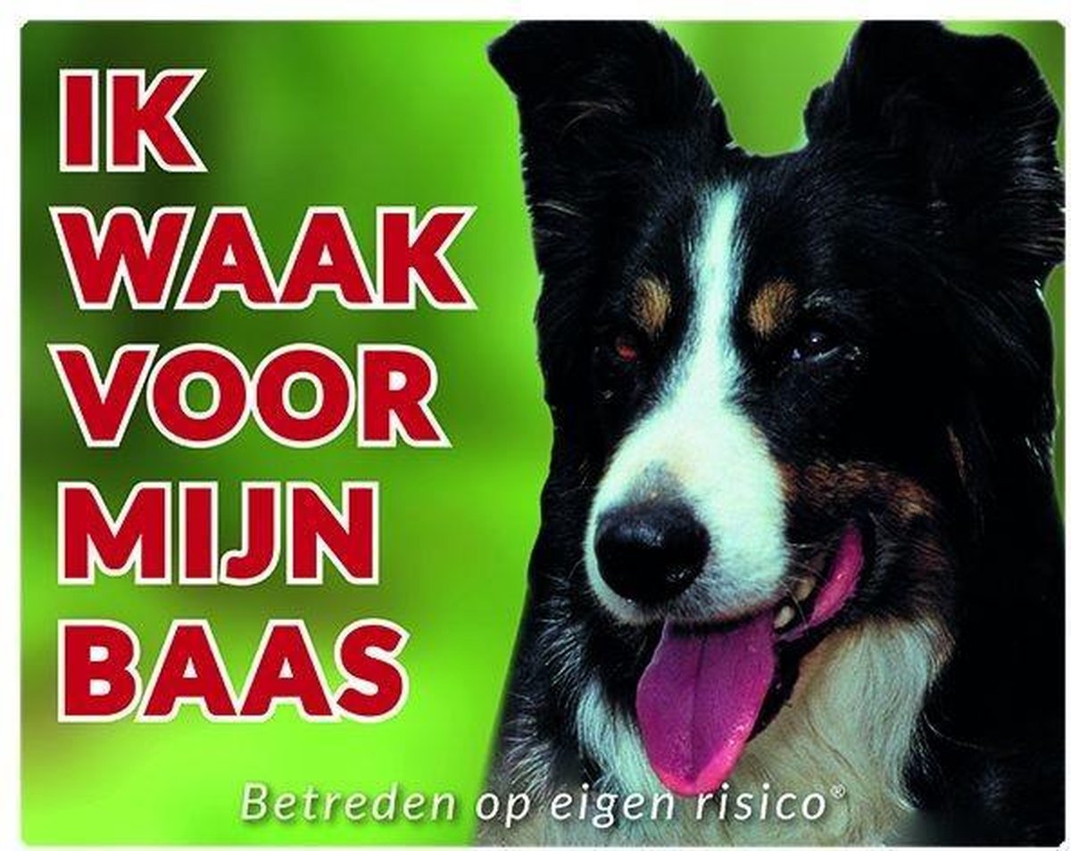 Border Collie Waakbord - Ik waak voor mijn baas