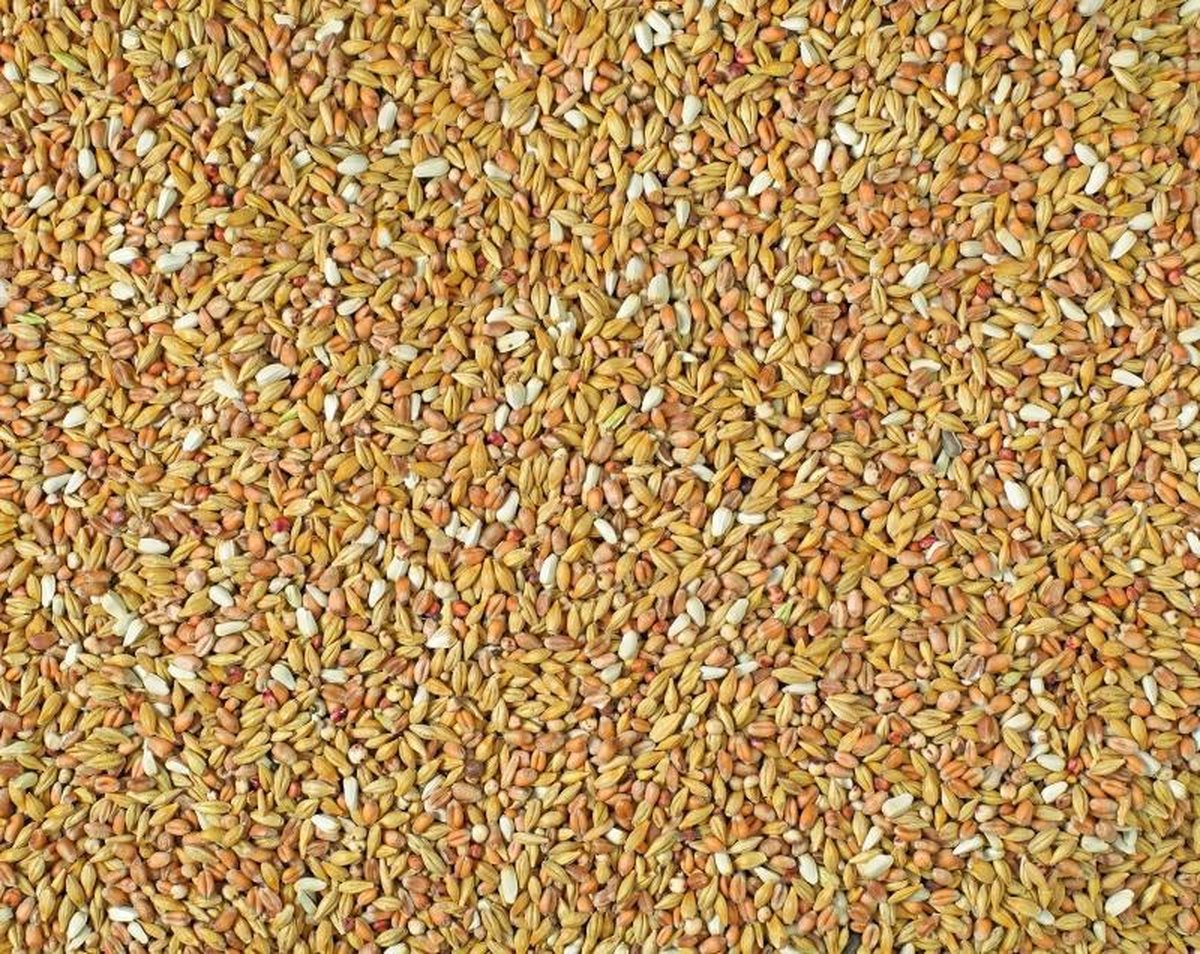 Natural zuivering special continental 25KG