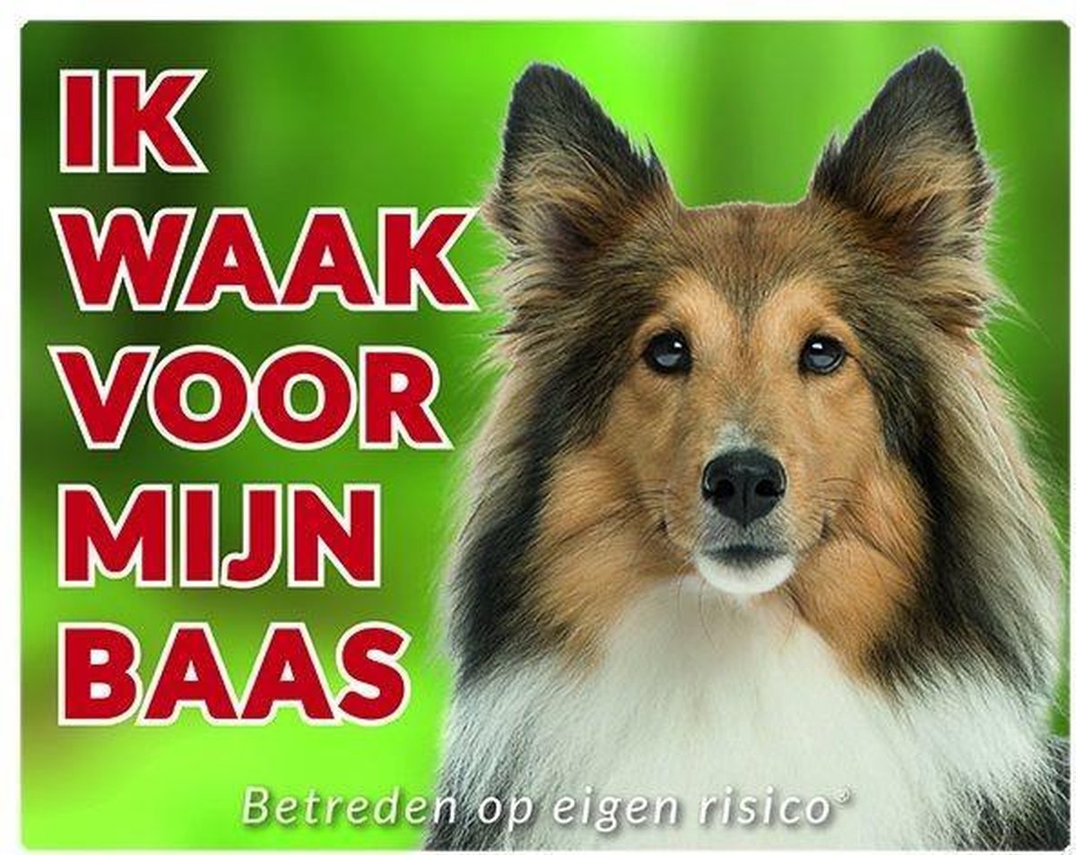 Shetland Sheepdog Waakbord - Ik waak voor Bruin