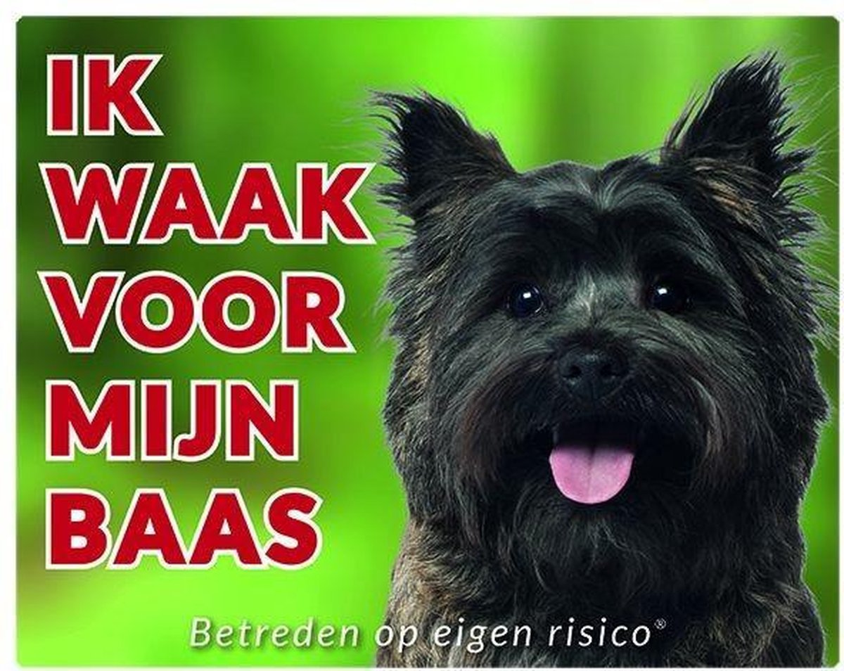 Cairn Terrier bruin Waakbord - Ik waak voor mijn baas