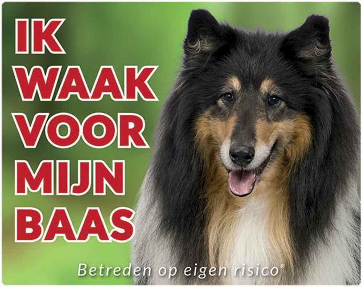 Schotse Collie Waakbord - Ik waak voor mijn baas