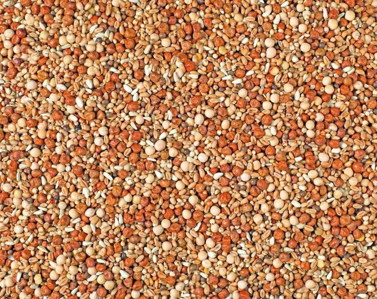 Natural jonge duiven maxi natural p30 25KG