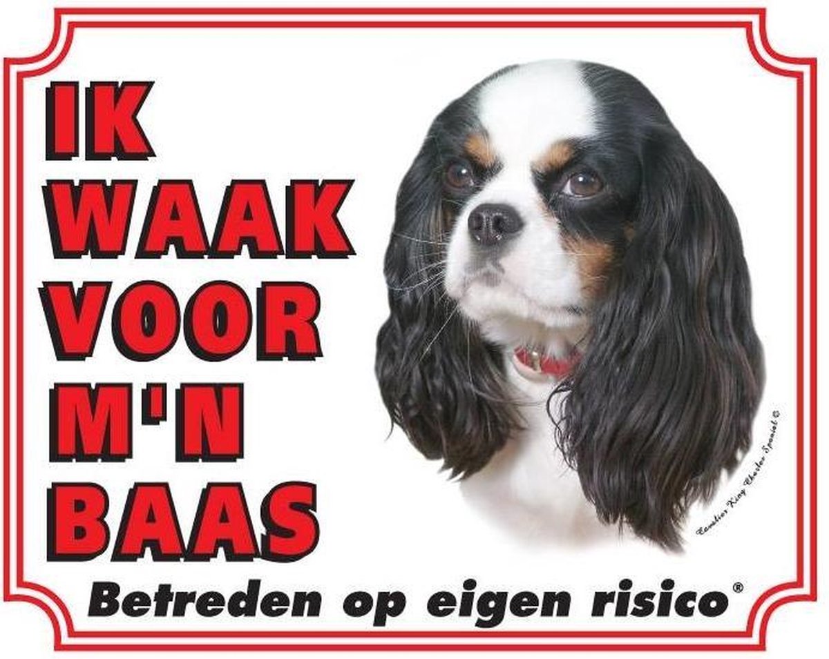Cavalier King Charles Spaniel Waakbord - Tricolour