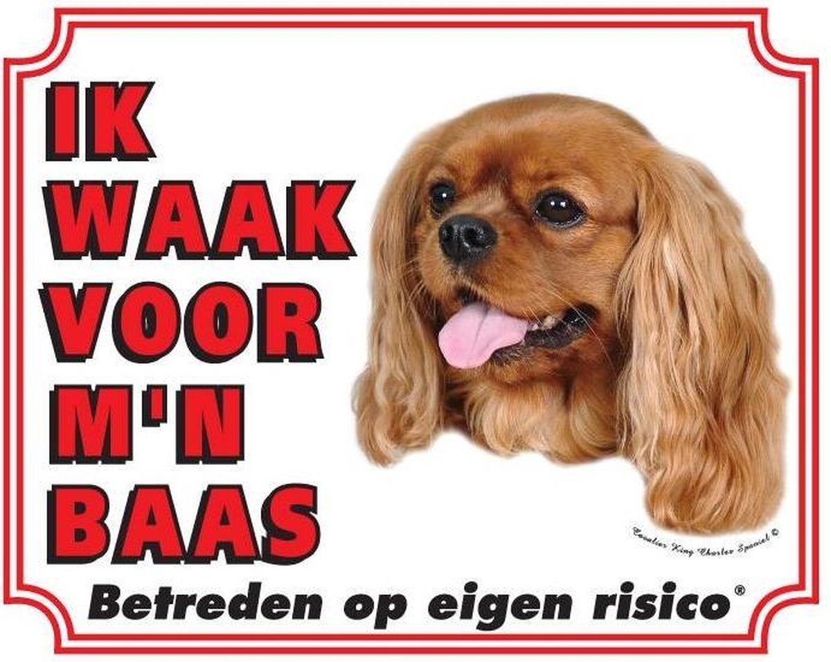 Cavalier King Charles Spaniel Waakbord - Ruby