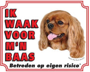Cavalier King Charles Spaniel Waakbord - Ruby