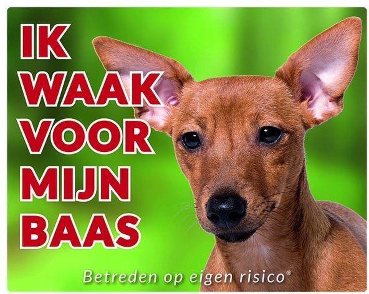 Dwerg Pincher bruin Waakbord - Ik waak voor mijn baas