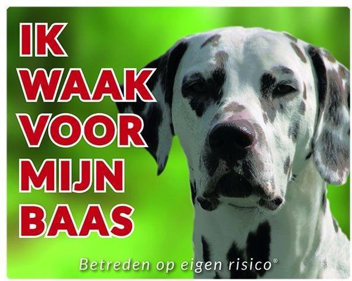 Dalmatier Waakbord - Ik waak voor mijn baas