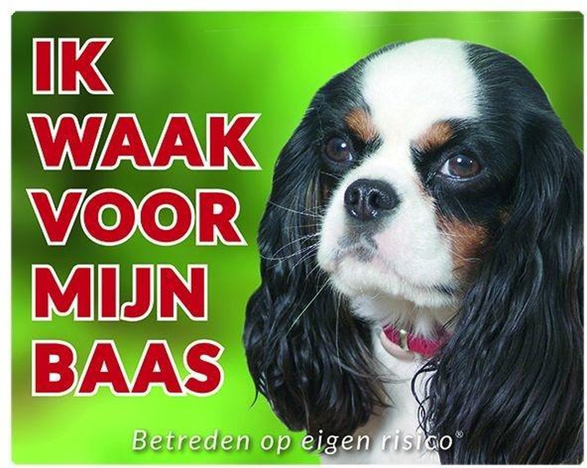 Cavalier King Charles Spaniel Waakbord - Tricolour
