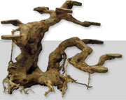 Superfish Bonzai Planter M - 24 x 16 x 20 cm