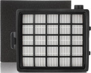 PHILIPS - PHILIPS FC8071/01 HEPA Filtre Easylife + Motor Filter - FC807101