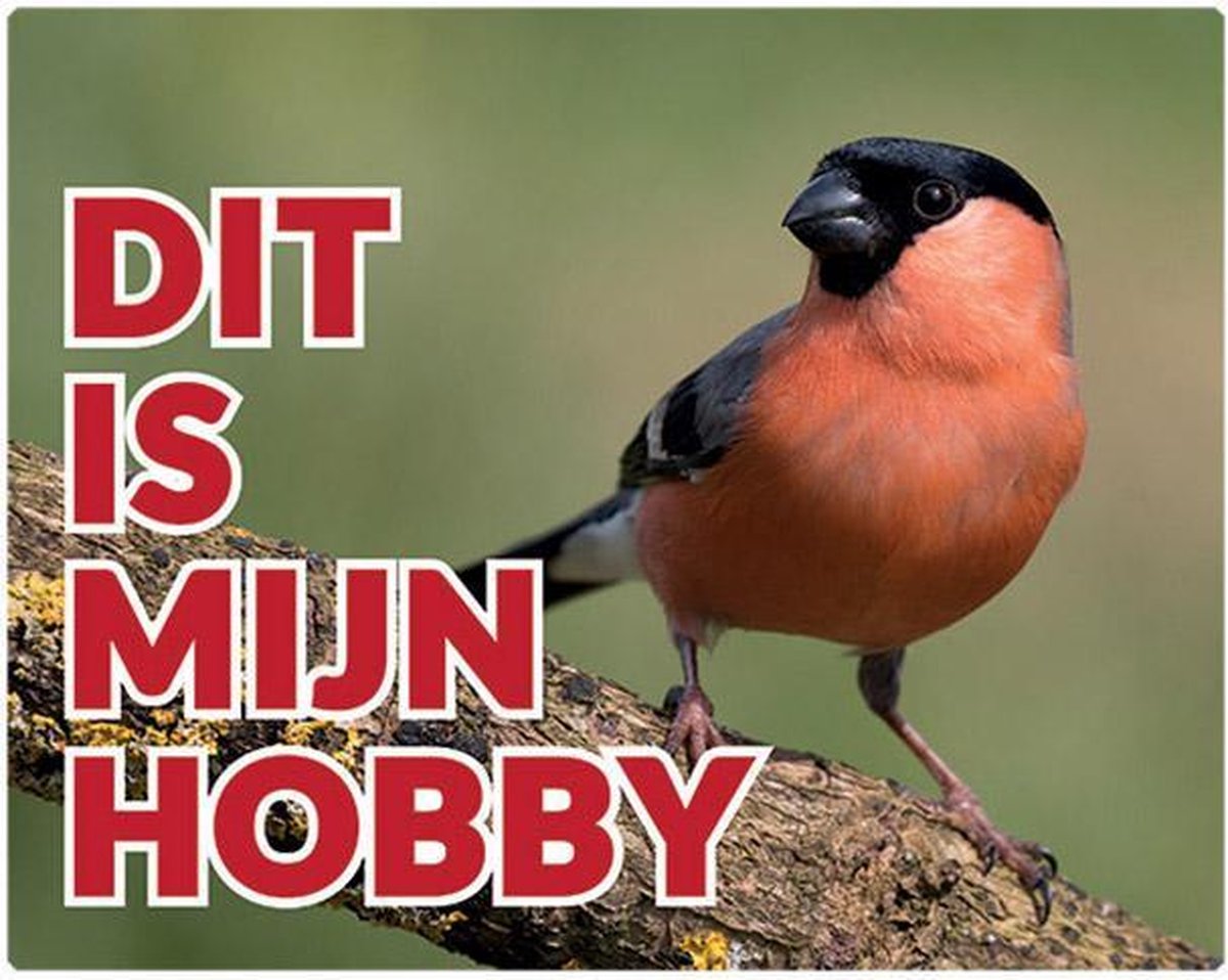 Dit is mijn hobby 147 goudvink man NL waakbord met een gekleurde achtergrond