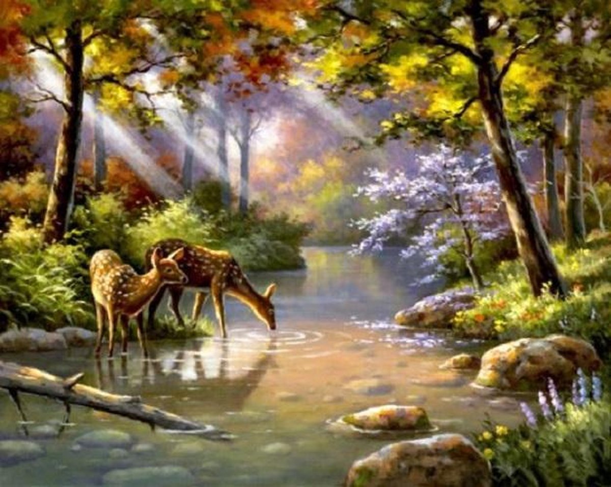 Paint By Numbers - Schilderen op Nummer - Hertjes aan de Wateroever - 50x40cm - Volwassenen & Kinderen - Stipco