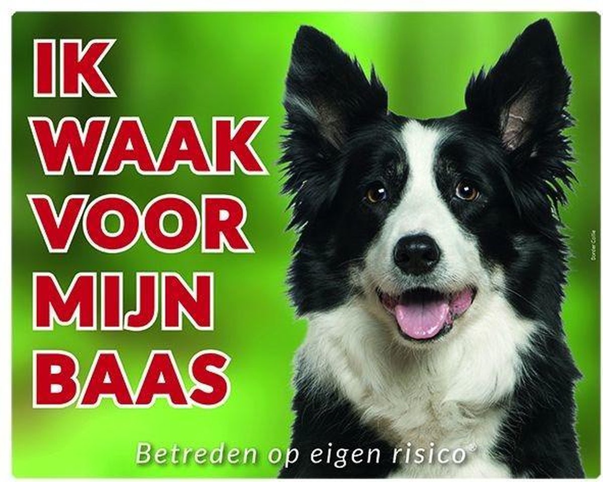 Border Collie Waakbord - Ik waak voor mijn baas