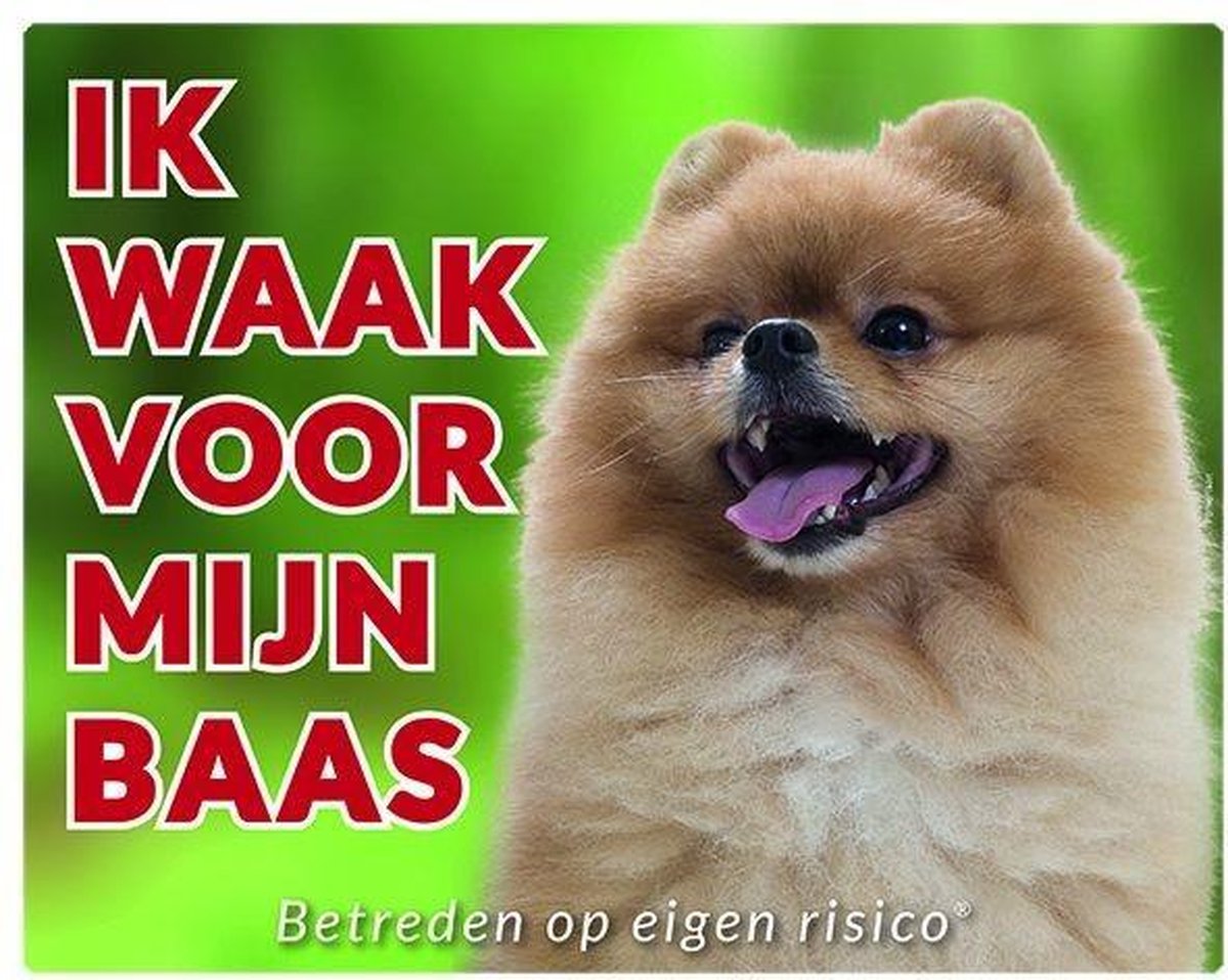 Pomeriaan / Dwergkees Waakbord - Ik waak voor mijn baas