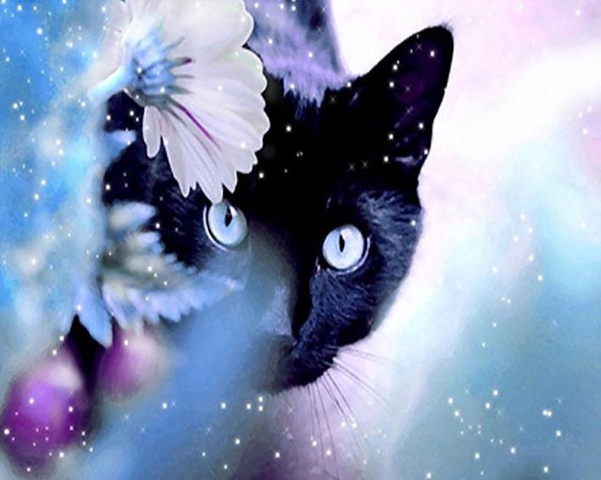FlinQ Diamond Painting Zwarte Kat