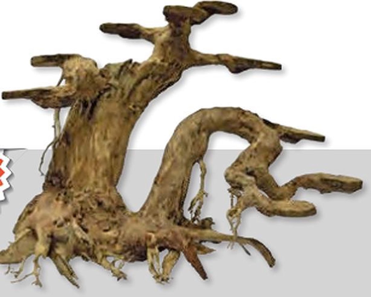 Superfish Bonzai Planter L - 30 x 20 x 25 cm