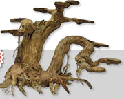 Superfish Bonzai Planter L - 30 x 20 x 25 cm