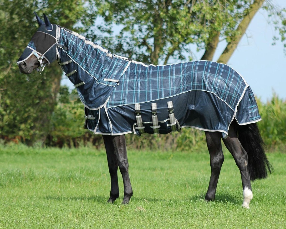 vliegendeken met nekt en hoed blauw/groen qhp paardendeken - maat 135