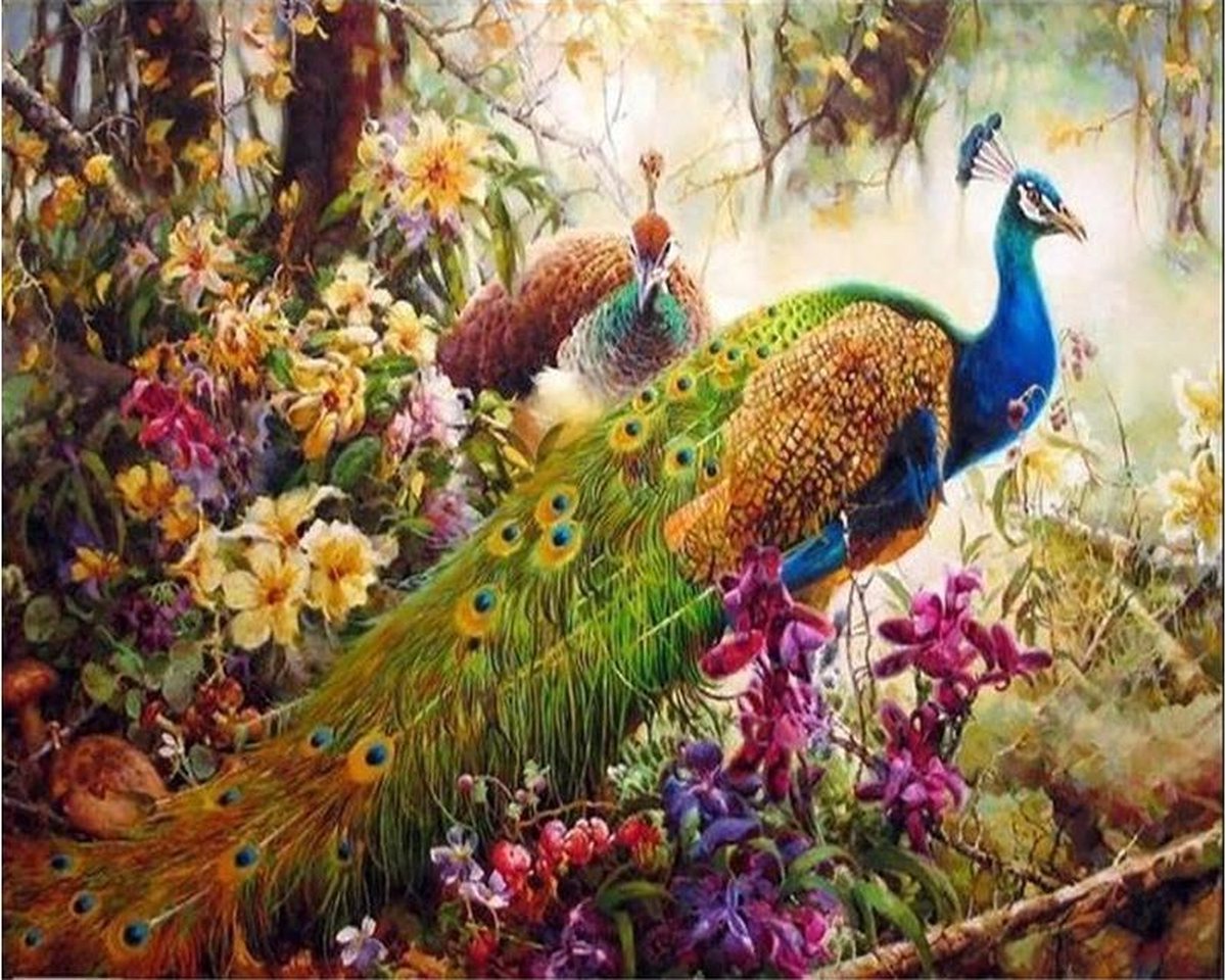 Schilderen op nummer "JobaStores®" Pauw 03 40x50cm