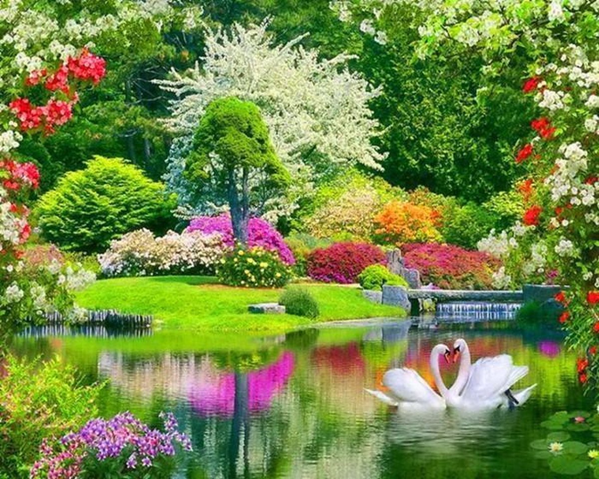 "Diamond Painting "JobaStores®" Tuin met Zwanen 40x50cm - Rond"