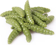 Libra Lures Larve - Olive - 3cm - 15 Stuks - Olijfgroen