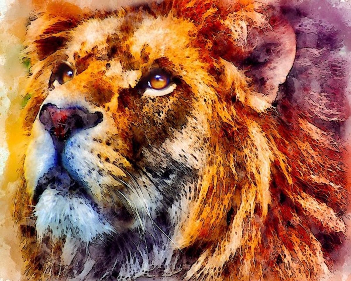 Diamond painting - Leeuw - Ronde steentjes - 50x40 Centimeter