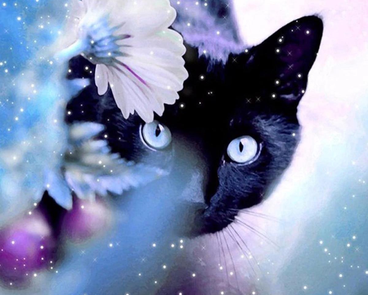 Diamond Painting Kat – 40 x 50 cm – Pakket voor Volwassenen -  Cadeau Tip!
