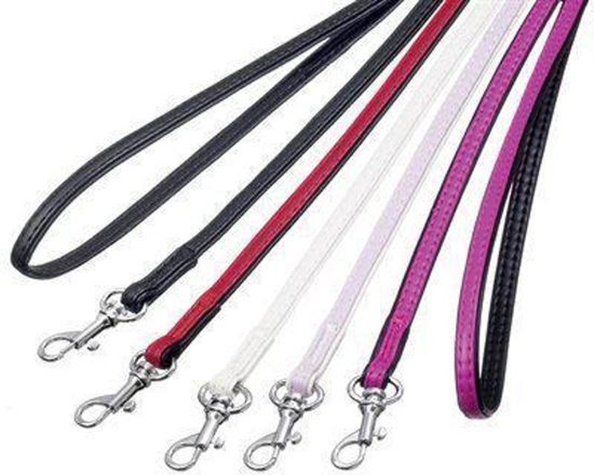 Paris leash