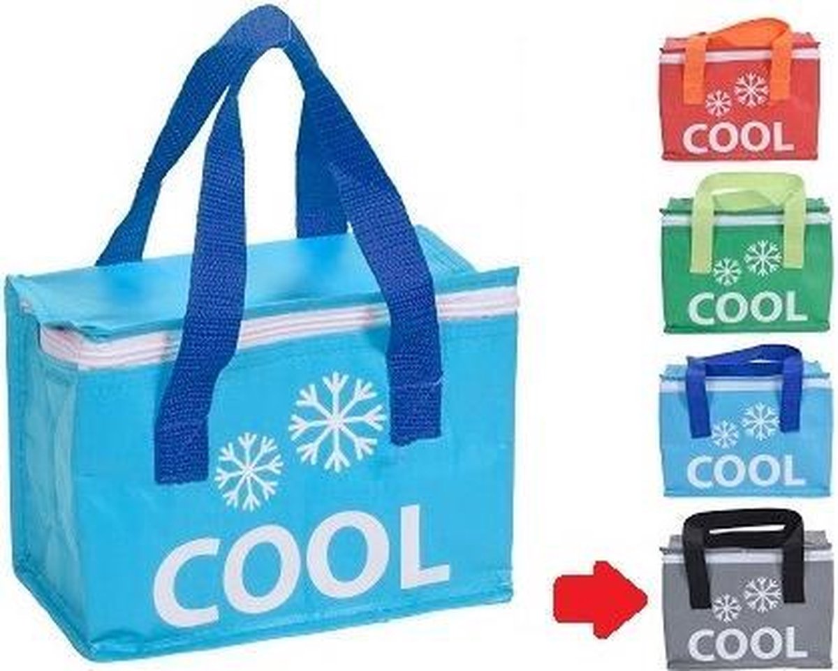 Koeltas | Cool | 4 Liter | Grijs