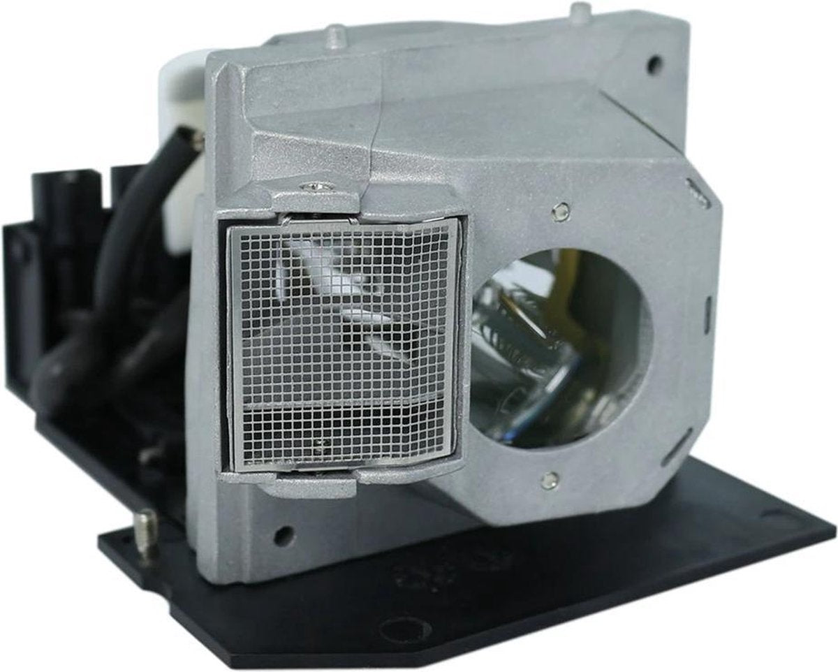 OPTOMA TX1080 beamerlamp BL-FU300A / SP.8BH01GC01