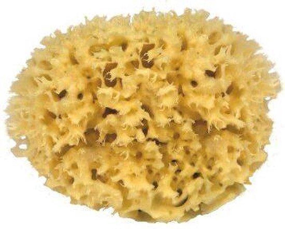Natuurspons - Medium