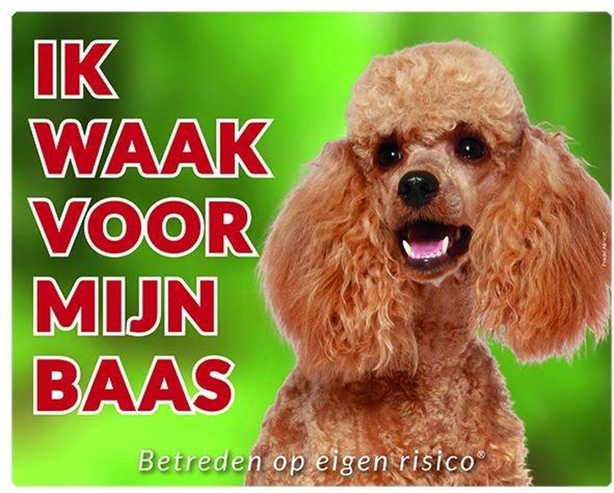 Poedel Abricot Waakbord - Ik waak voor mijn baas