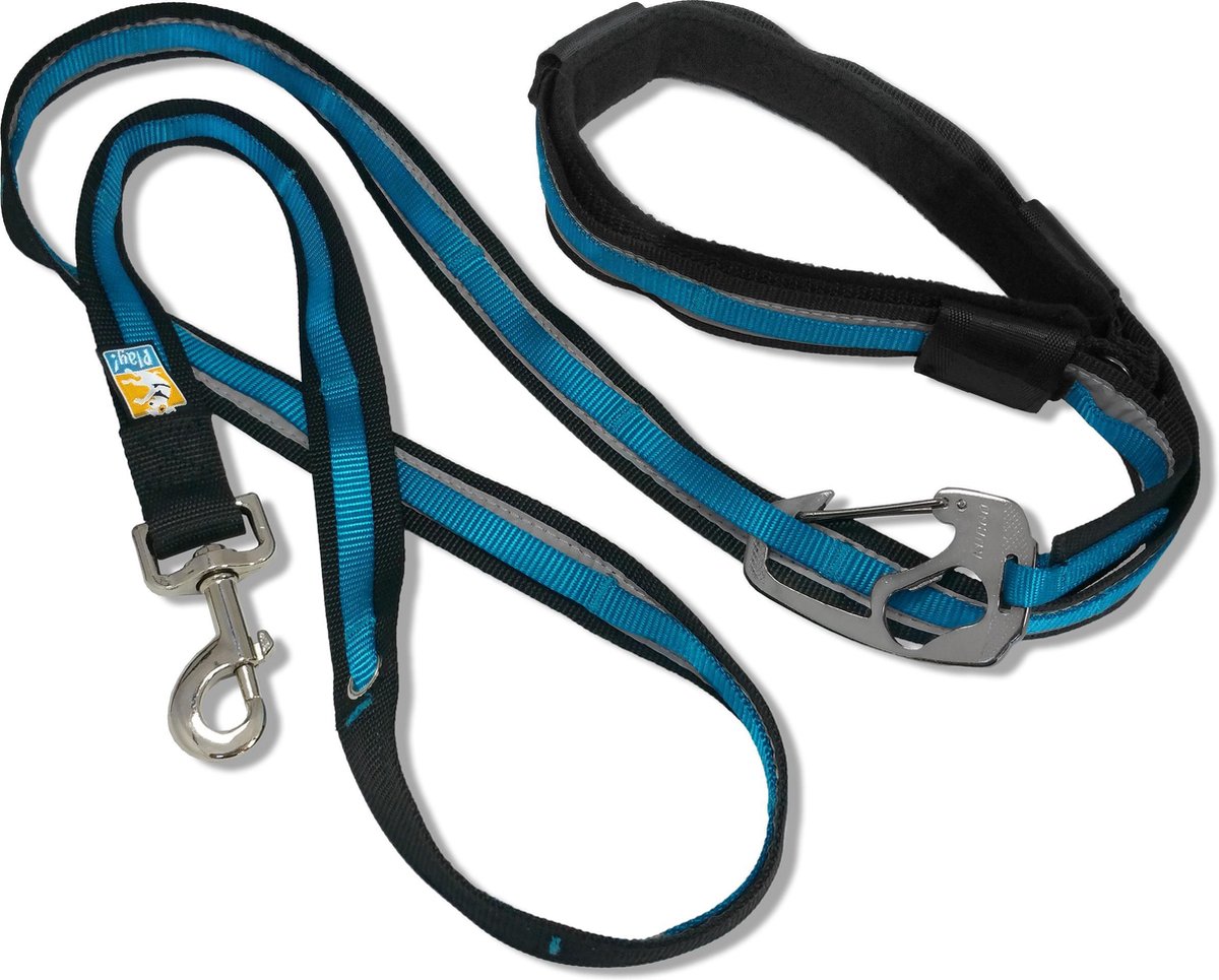 Kurgo - Reflect & Protect Quantum Leash - Coastal Blue
